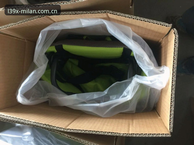 揭秘一年之夏篮球数据安全背后的真实防线——你手机里的L39X标识意味着什么？